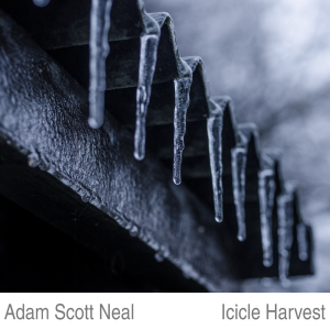 Icicle Harvest cover image