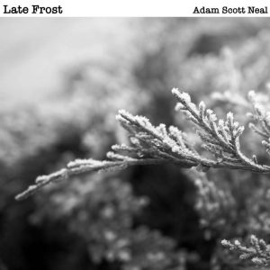 Late Frost album cover